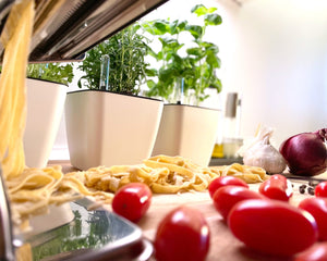 Pots for Herbs and Spices | Green Rebels DK