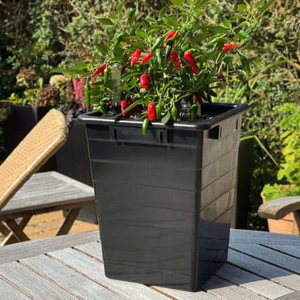 Homefarm 1 - dansk mini - kapillærkasse af genbrugt plast - Green Rebels