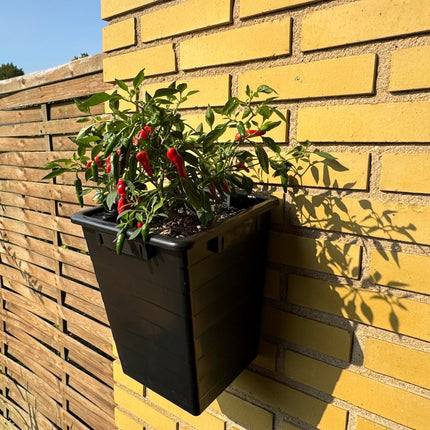 Homefarm 1 - dansk mini - kapillærkasse af genbrugt plast - Green Rebels