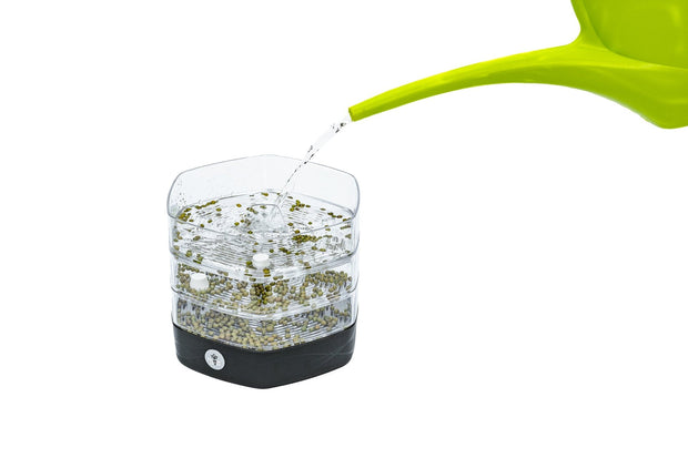 Mungo spirekasse - Green Rebels