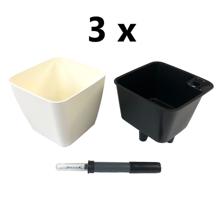 Hvid, plantekrukke, inderkrukke, vandmåler