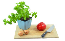 Indlæs billede til gallerivisning plantekrukke til krydderurter - med selvvanding - blå (pakke med 3 stk.)
