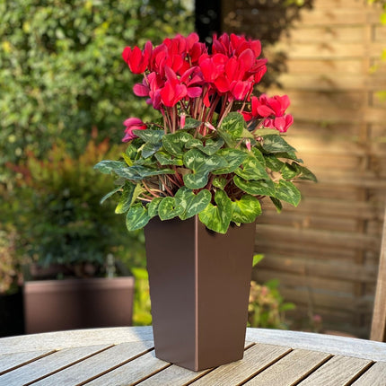 blomsterkrukke - nem at bruge - med selvvanding - brun