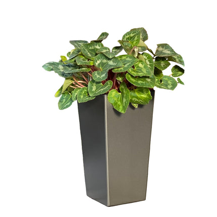 blomsterkrukke - stilren og klassisk - med selvvanding - grå