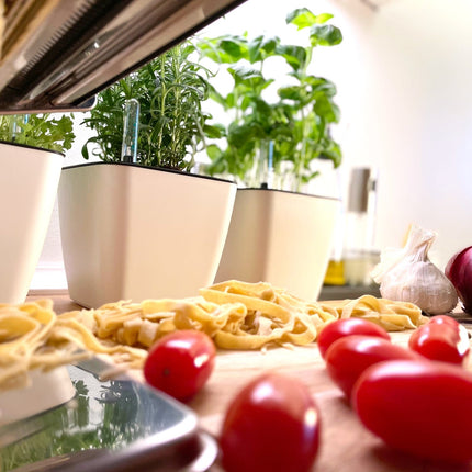 Plantekrukker, selvvanding, madlavning, pasta, tomat, løg