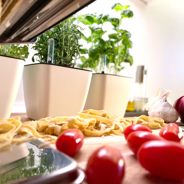 Plantekrukker, selvvanding, madlavning, pasta, tomat, løg