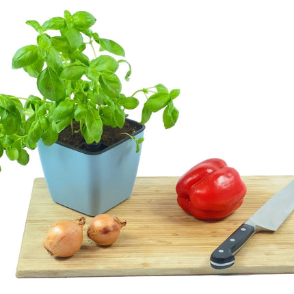 Storkøb: 10 krukker til krydderurter - med selvvanding - blå - Green Rebels