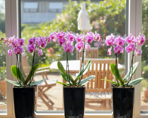 Blomsterkrukker - Green Rebels