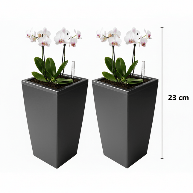 Blomsterkrukke - god til orkidéer - med vandmåler - sort (Pakke med 2 stk.) - Green Rebels