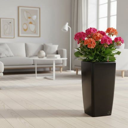 Luksus selvvandingskrukke 