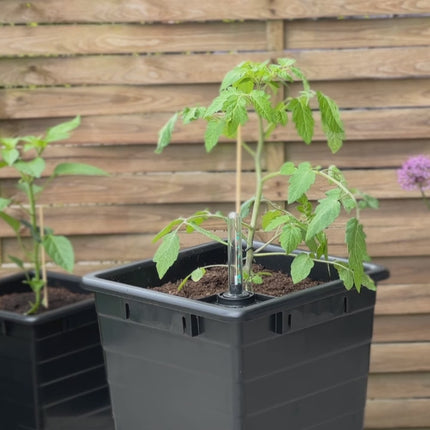 Watering Homefarm 1 with water level indicator