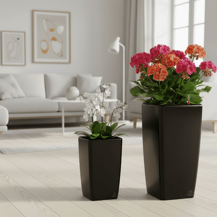 Quadrato Duo – komplet sæt med rabat - Green Rebels