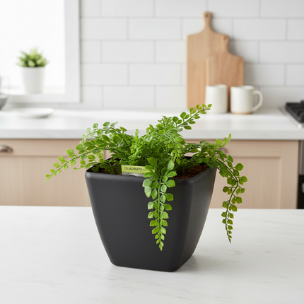 Quadrato Matt - 18 cm sort - plantekrukke med selvvanding