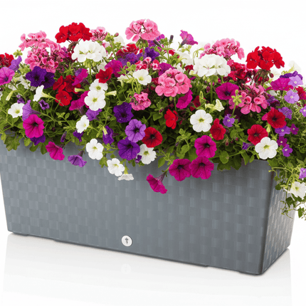 Supreme altankasse 50cm med selvvanding - Godt køb - Green Rebels