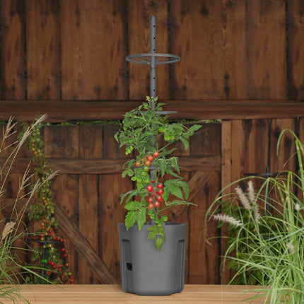 Tomatkrukke med justerbart plantestativ – selvvandende - Green Rebels