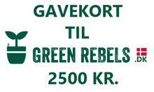 Indlæs billede til gallerivisning Gavekort til Green Rebels på 2500 kr
