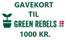 Indlæs billede til gallerivisning Gavekort til Green Rebels på 1000 kr
