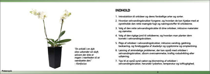 Gratis guide til dyrkning af orkidéer i selvvandingskrukker - Green Rebels