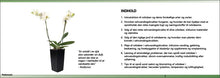 Load image into Gallery viewer, Gratis guide til dyrkning af orkidéer i selvvandingskrukker - Green Rebels
