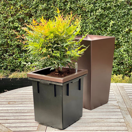 kæmpe plantekrukke - klassisk design - med selvvanding - brun