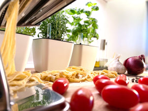 Plantekrukker, selvvanding, madlavning, pasta, tomat, løg